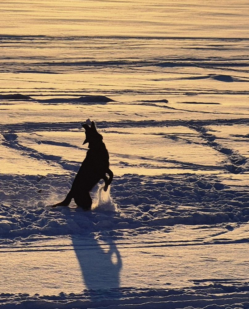 Photograph by Валентина Кузьменко