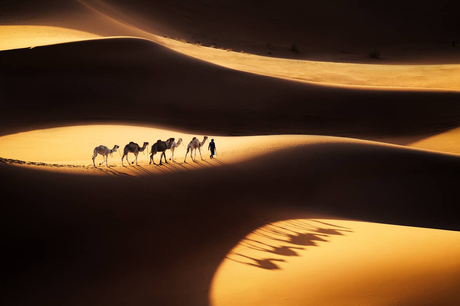 Фотография #13264496