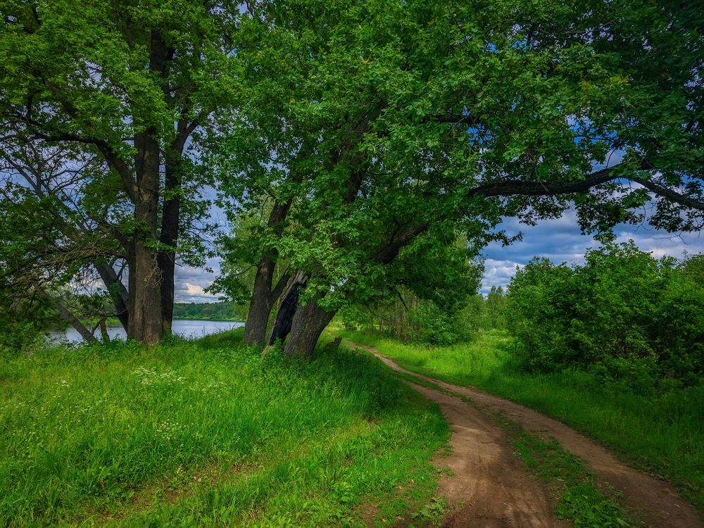 Photograph by Кирилл Сидоров