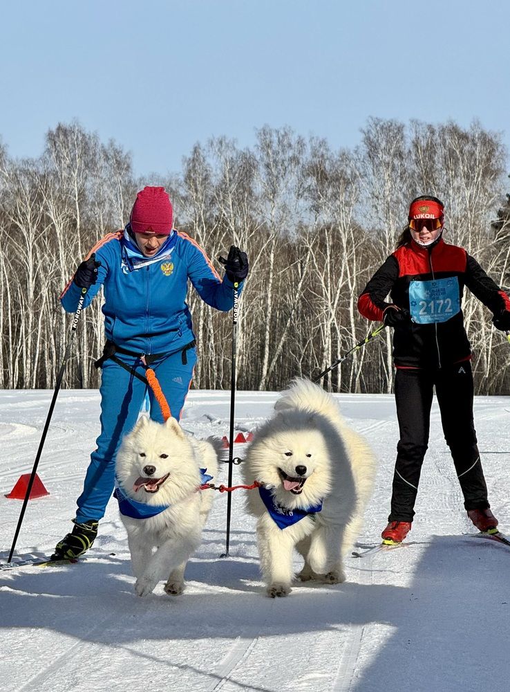 Фотография автора Галина Шиманцова
