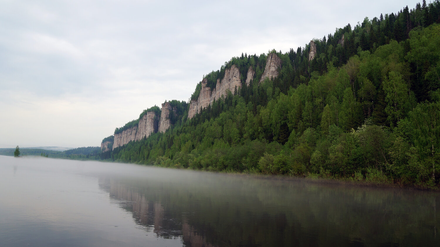 Photo #13264583