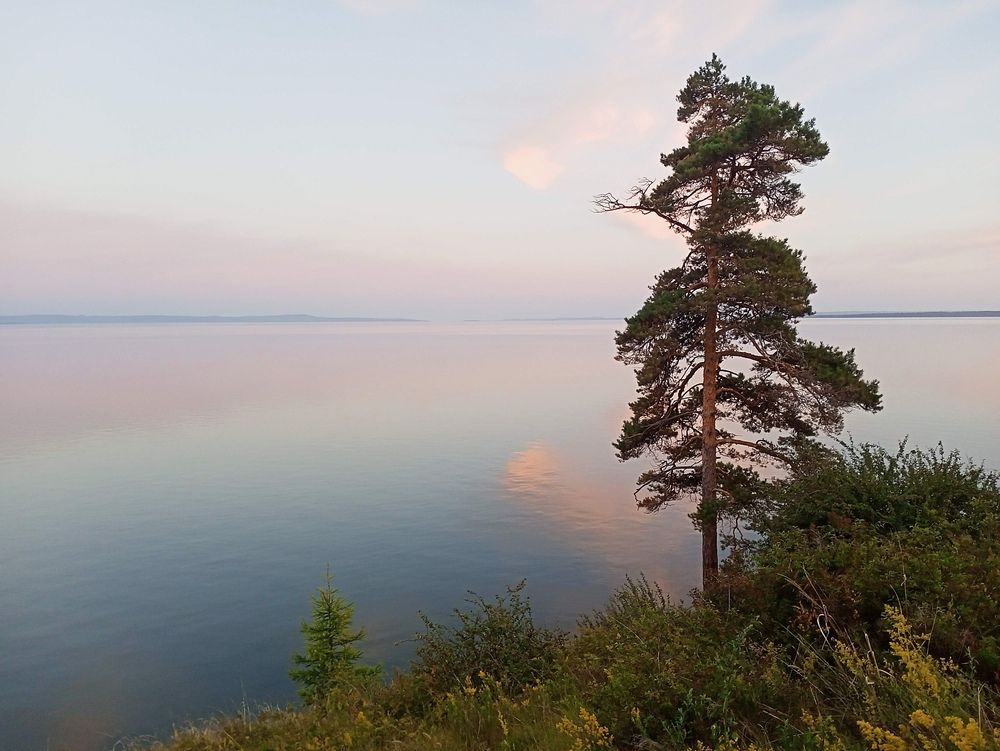 Photograph by Ирина Молоткова