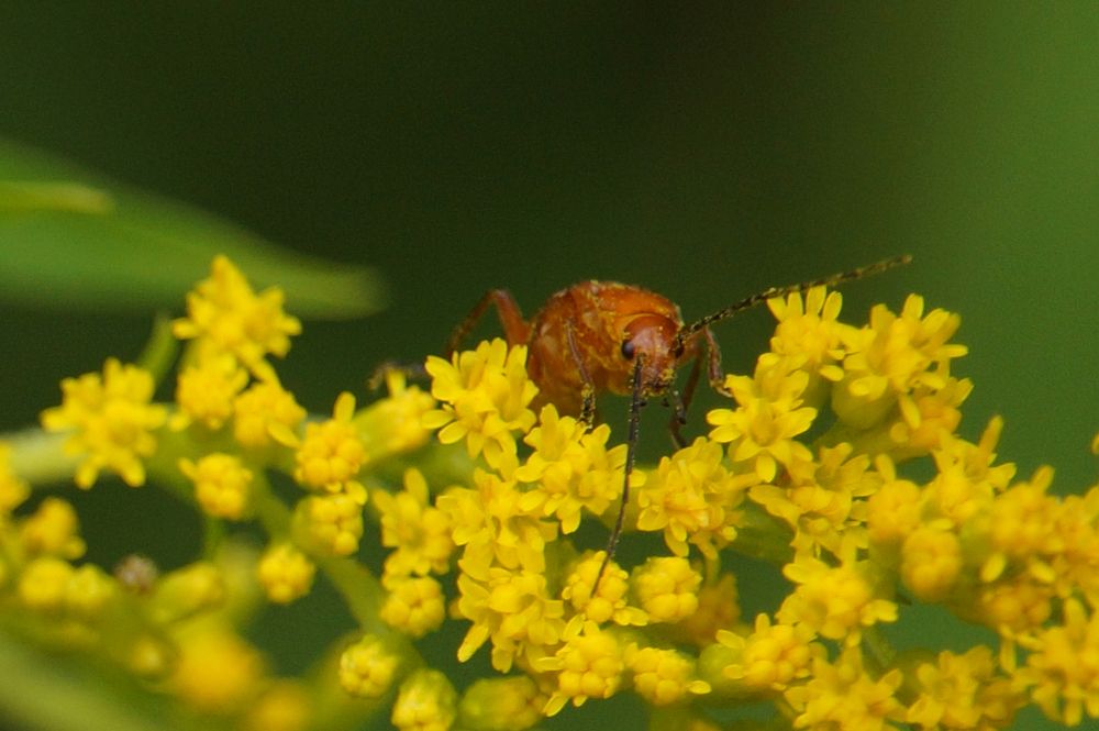 Photograph by Ken Oliver