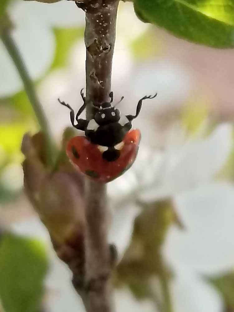 Photograph by Елена Шмырова