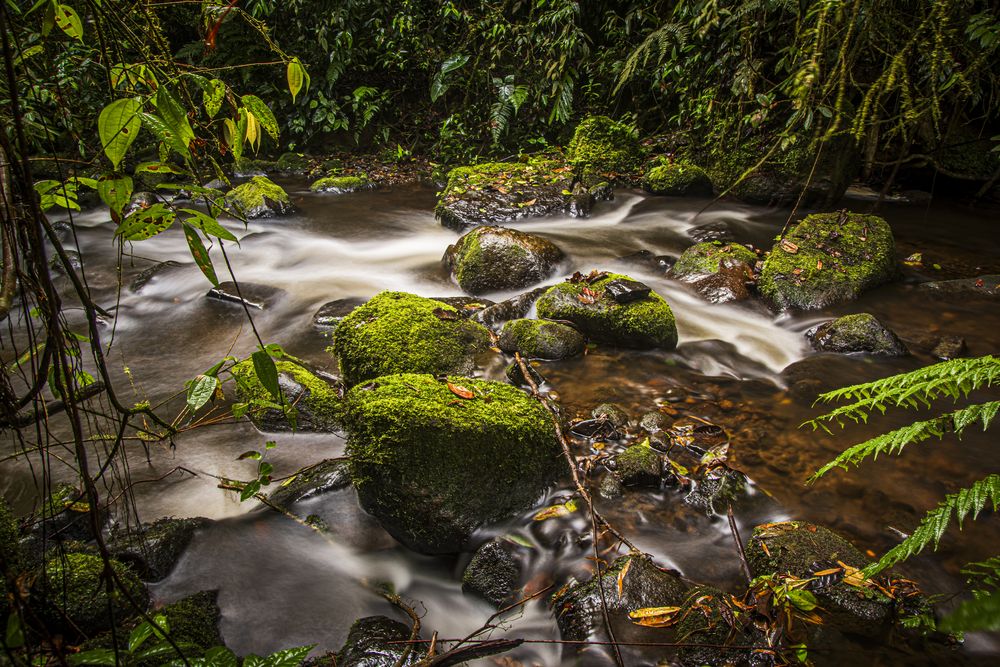 Photograph by Jorge Ivan Vasquez