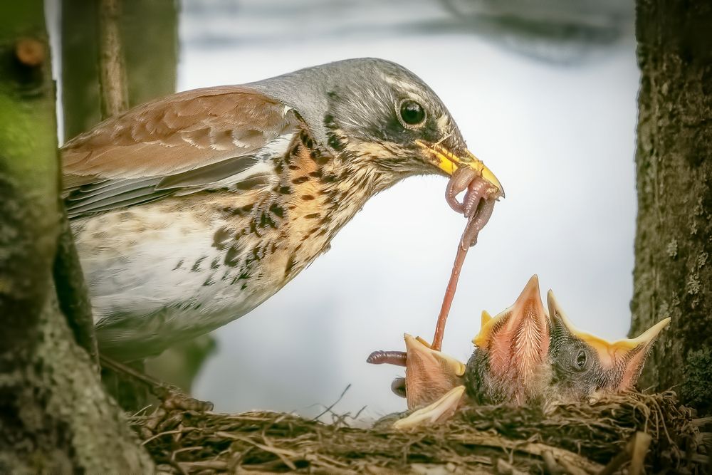 Photograph by Петр Богомазов