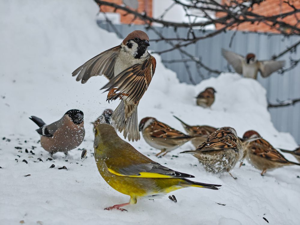 Photograph by Рустам Сафин