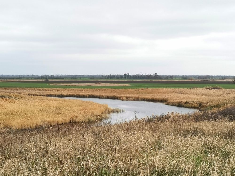 Photograph by Ольга Давыдова