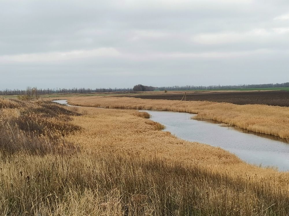 Photograph by Ольга Давыдова