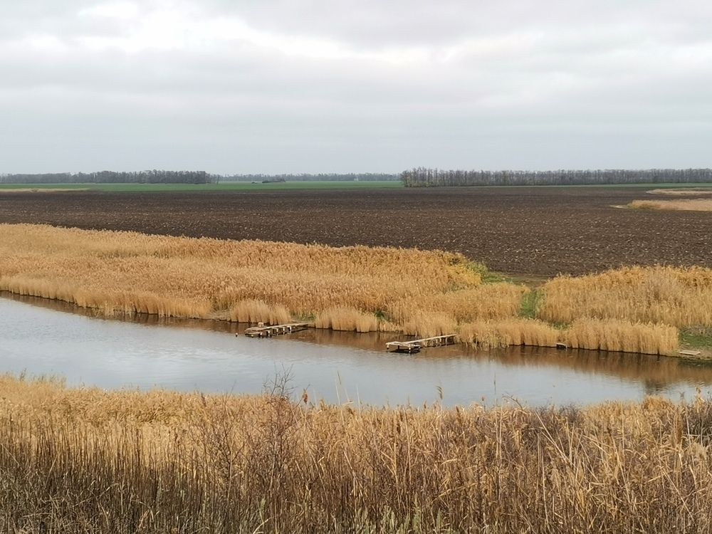 Photograph by Ольга Давыдова