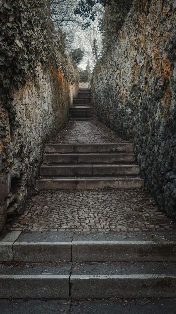 Ascent into Silence