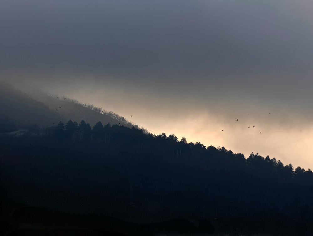 Photograph by Евгений Порсов