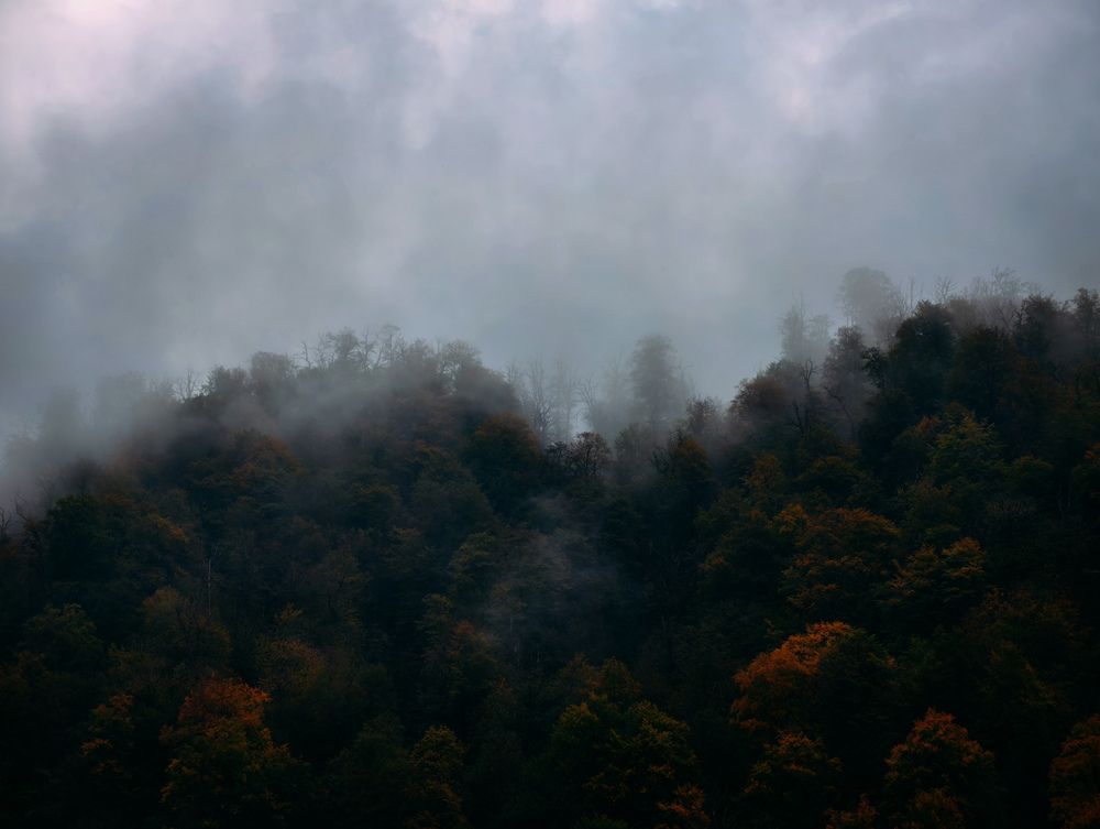 Photograph by Евгений Порсов