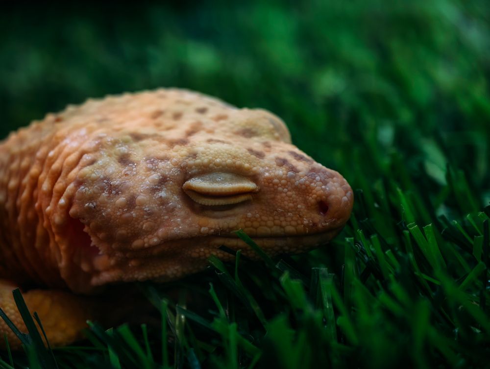 Photograph by Евгений Порсов
