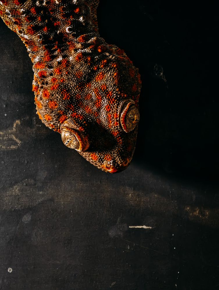 Photograph by Евгений Порсов