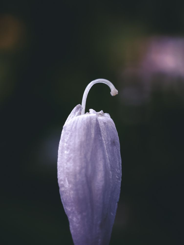 Photograph by Евгений Порсов