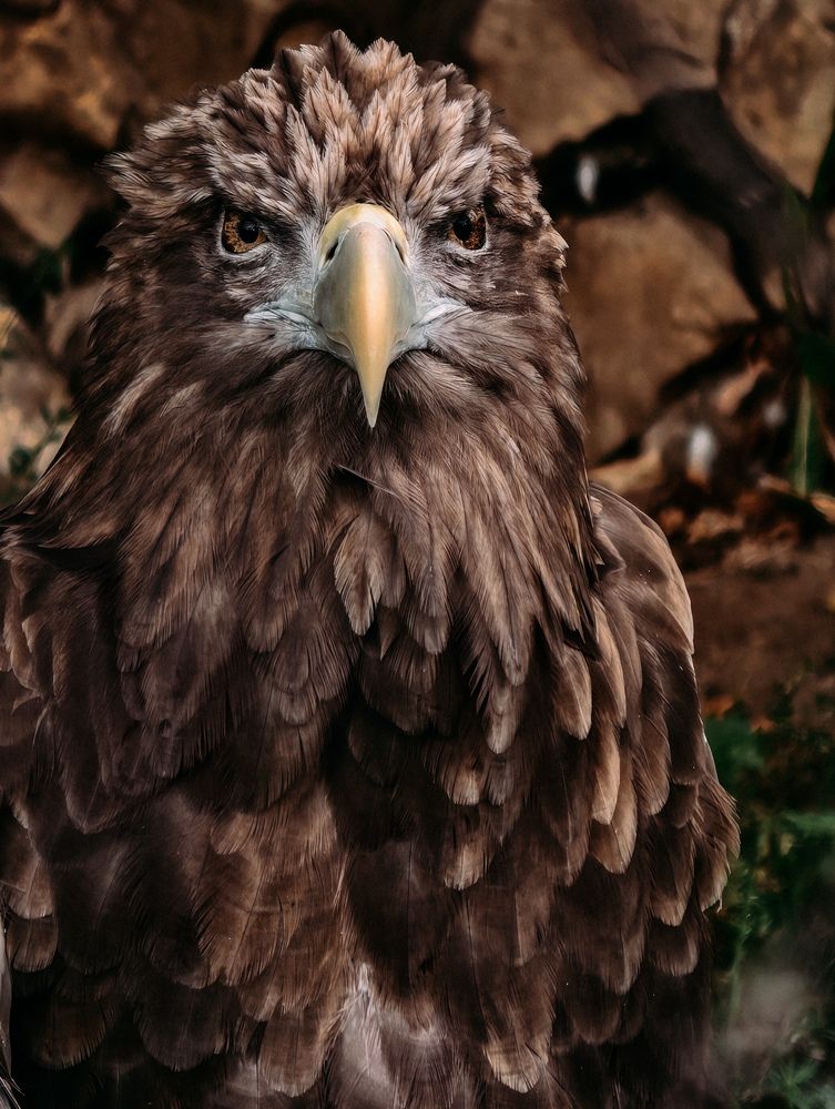 Photograph by Евгений Порсов