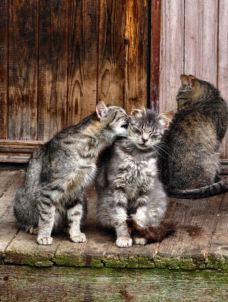 Photograph by Евгений Порсов