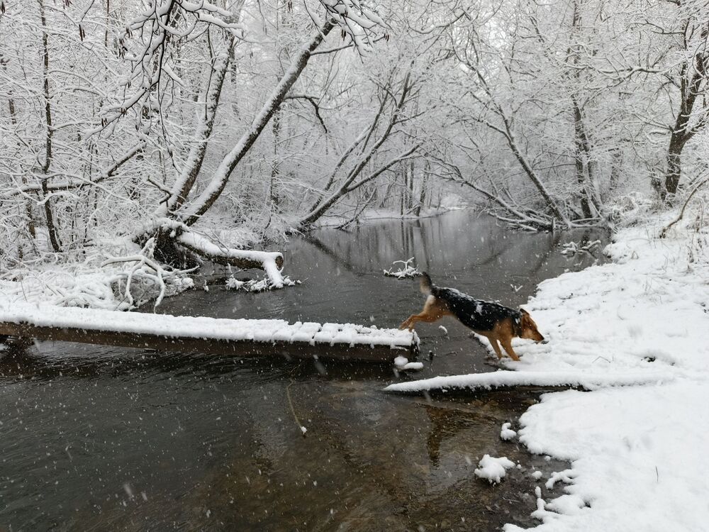 Photograph by Светлана Кондрашова