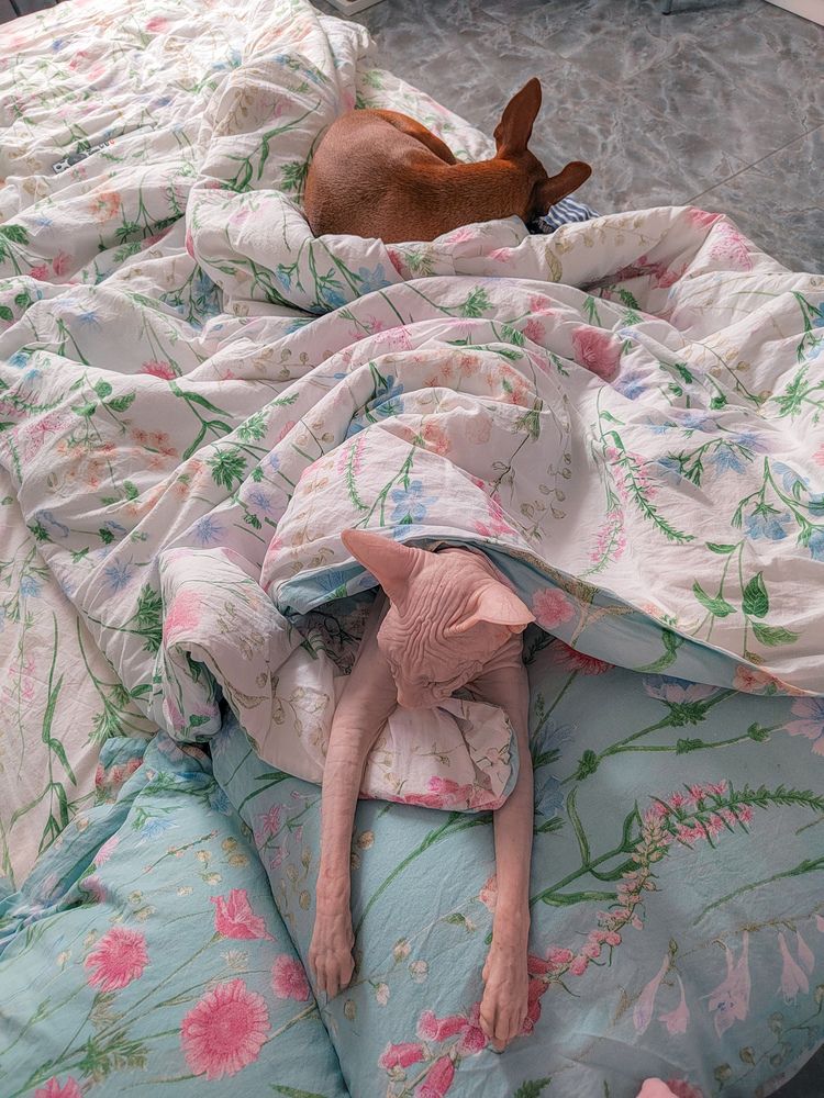 Фотография автора Наталья Королева