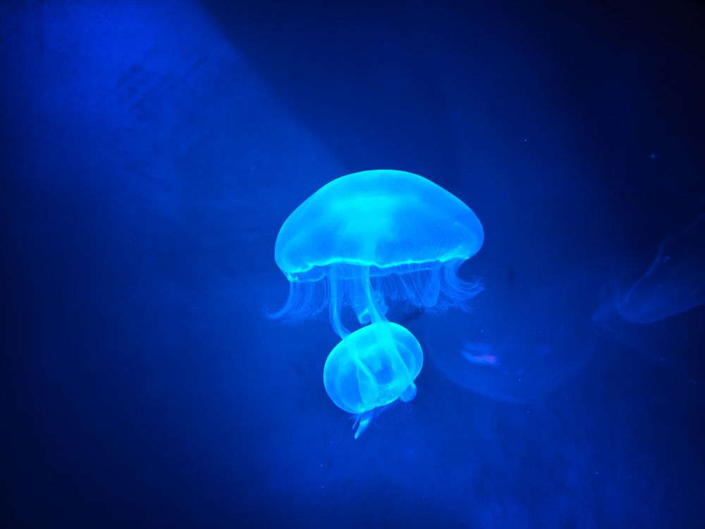 Photograph by Евгений Порсов