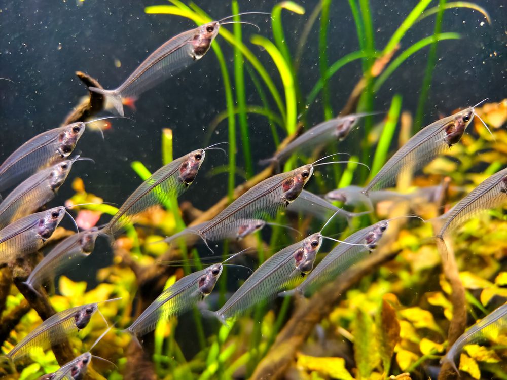 Photograph by Евгений Порсов