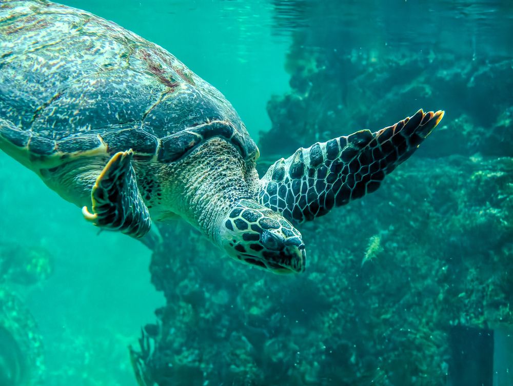 Photograph by Евгений Порсов