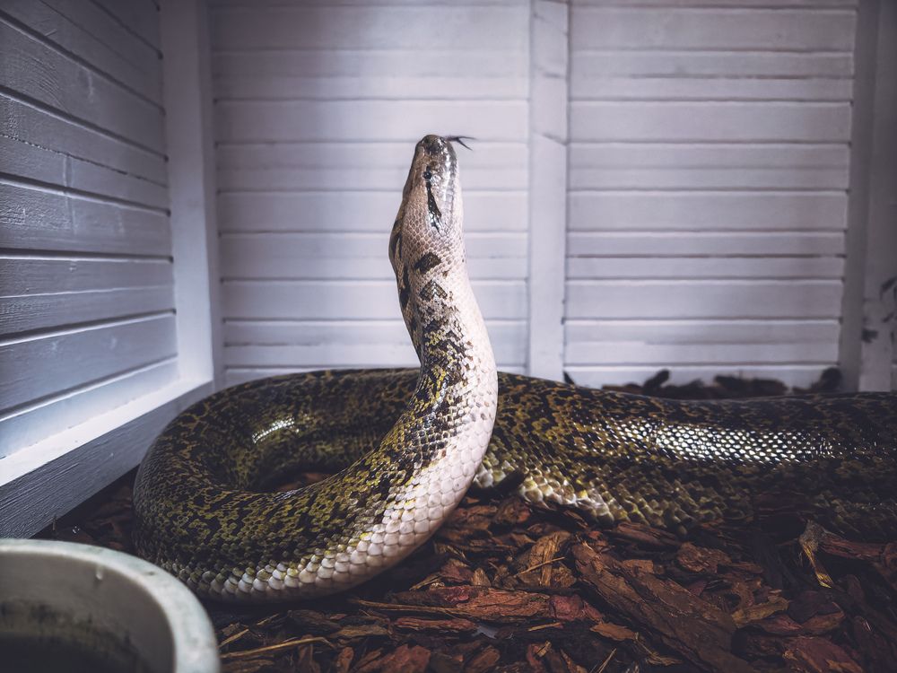 Photograph by Евгений Порсов