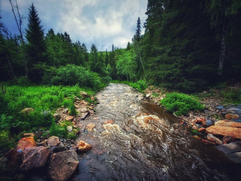 Photograph by Сергей Зайцев