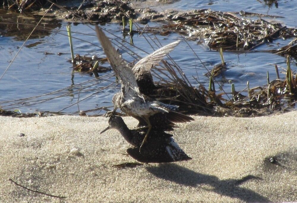 Photograph by Николай Горбачёв