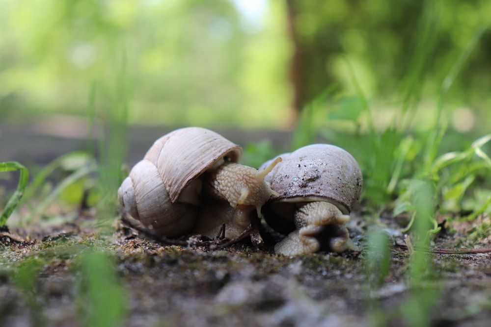 Фотография автора Алексейчик Дмитрий