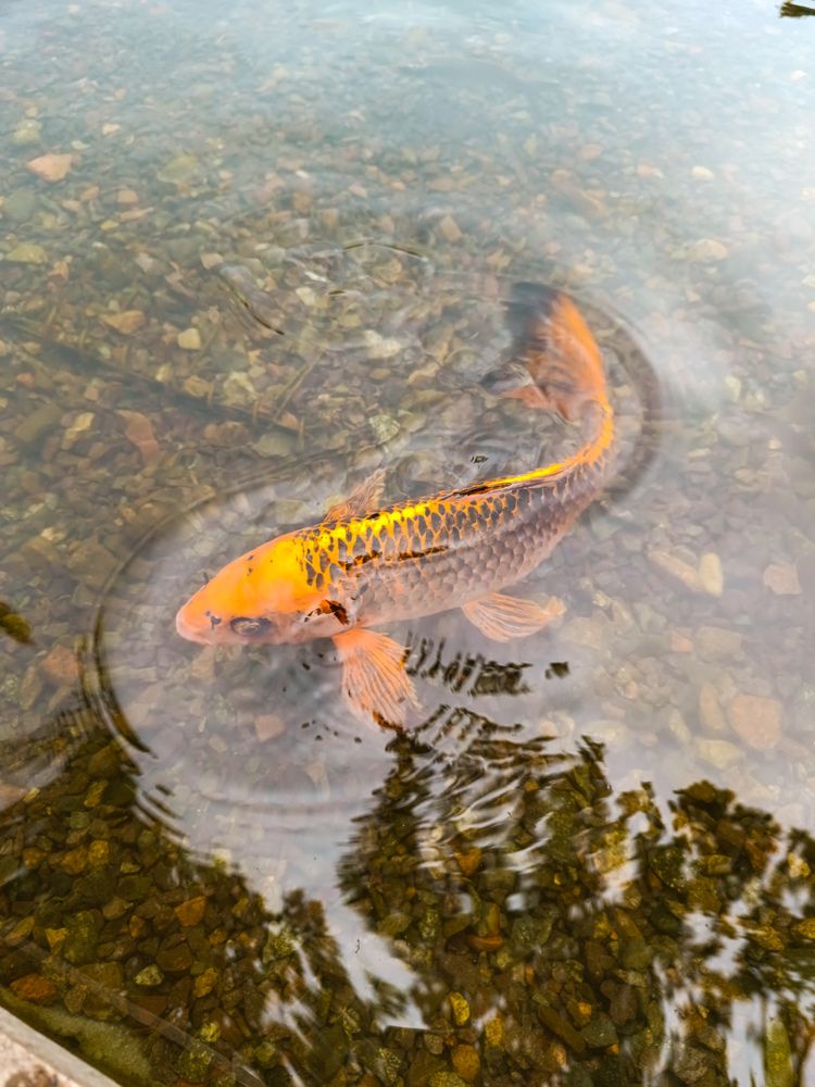 Photograph by Владимир Ли