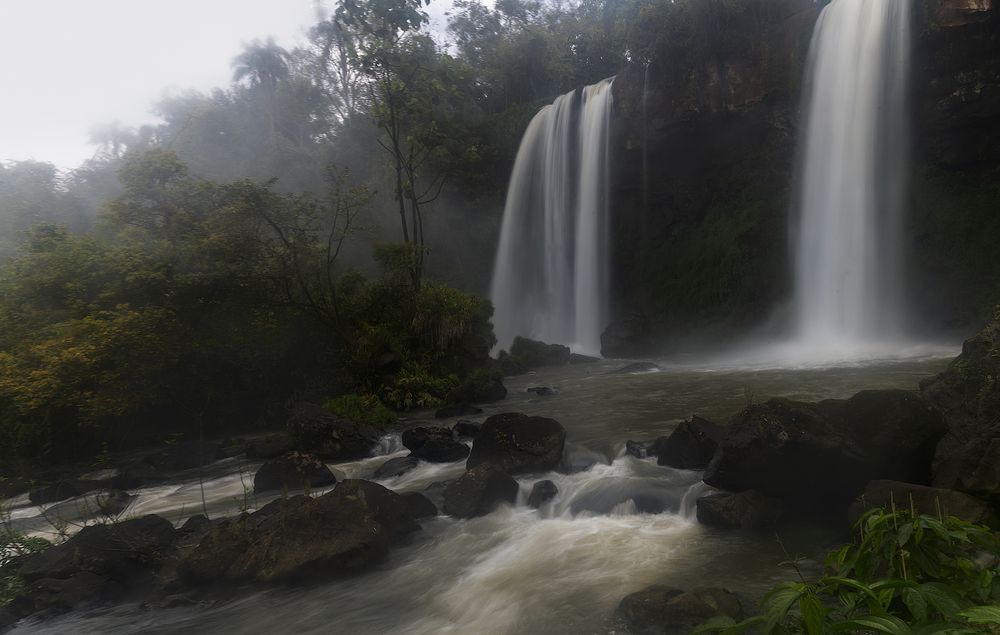 Фотография автора Joaquin Silva