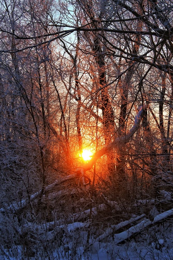 Photograph by Анна Захарчук