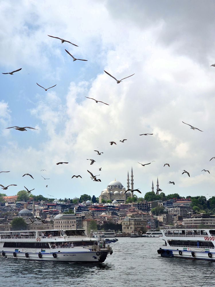 Photograph by Полина Хрол