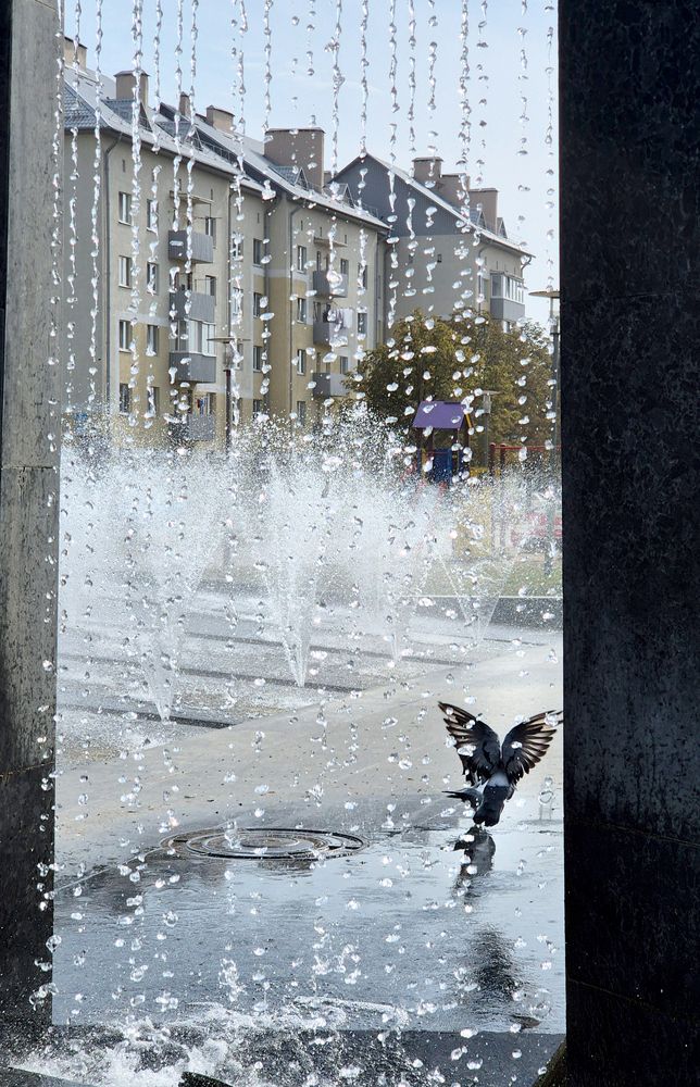 Photograph by Полина Хрол