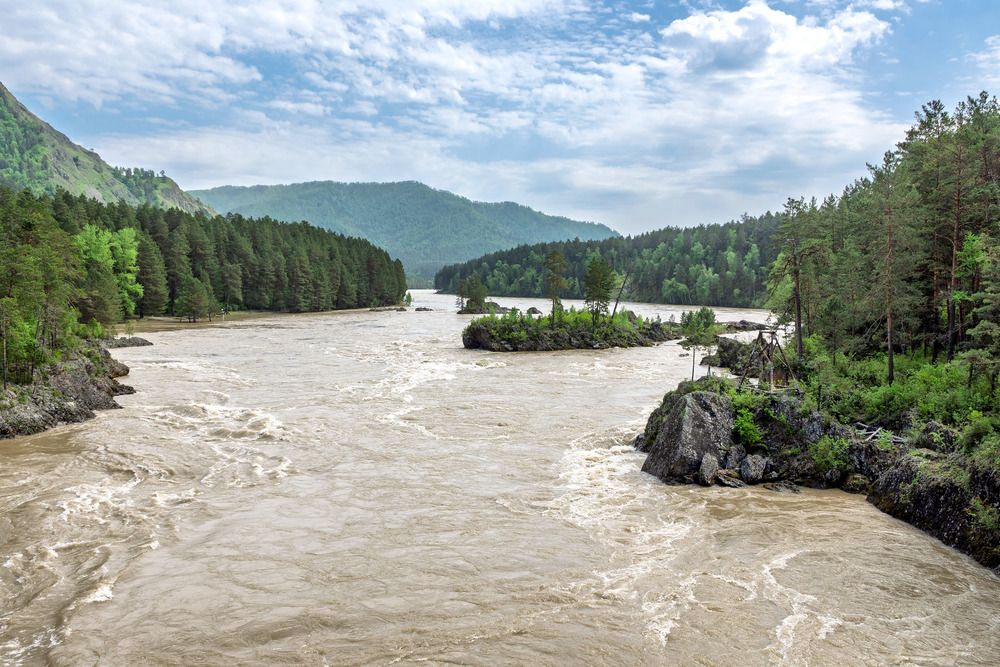 Photograph by Светлана Ващенко