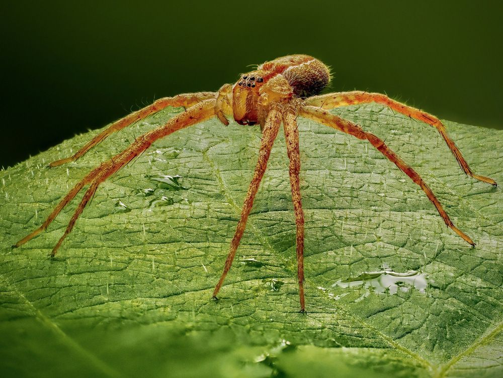 Фотография автора what.fred.saw