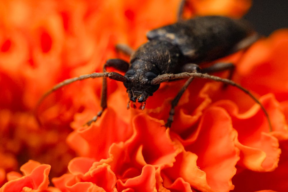 Photograph by Римма Волченко