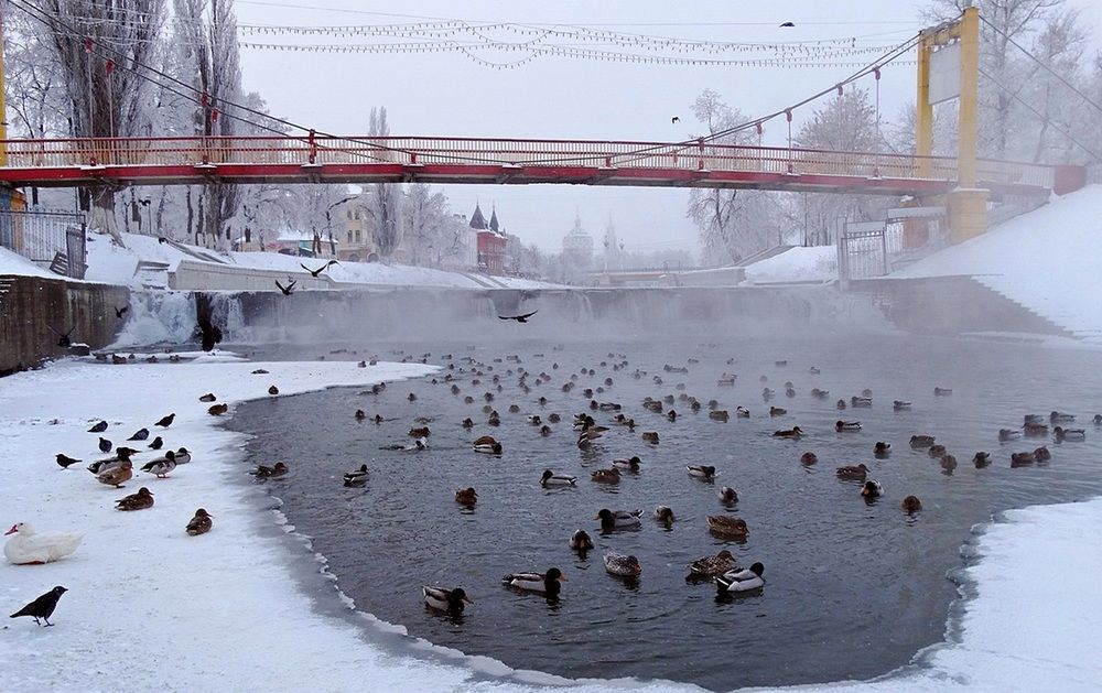 Зимой в полынье на реке Орлик