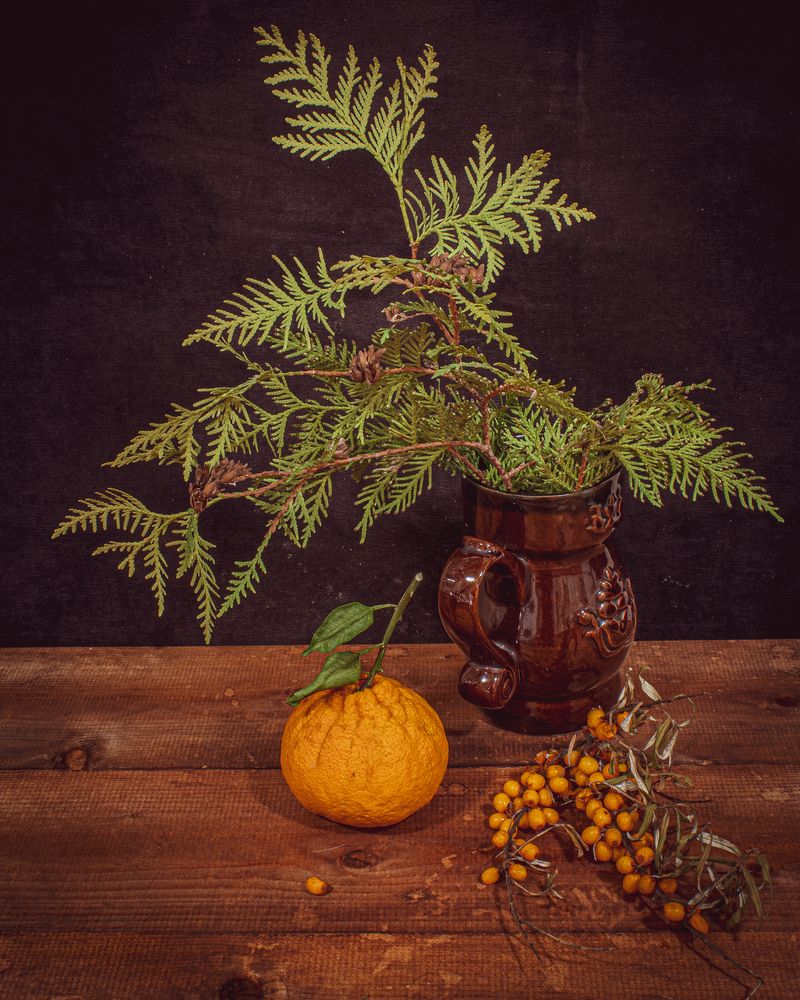 Фотография автора Николай Абакумов