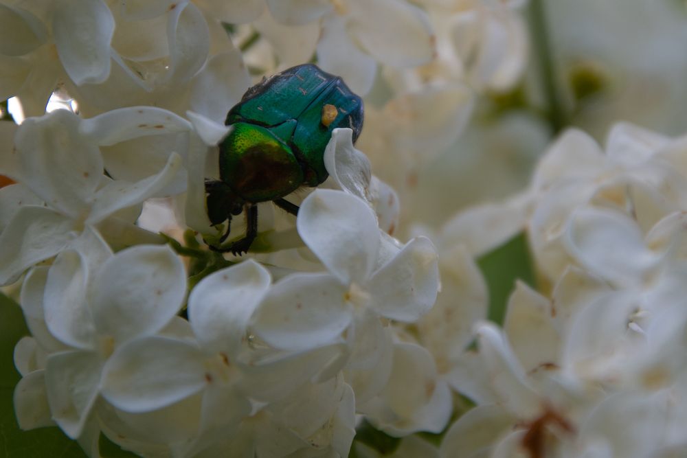 Photograph by Нина Малютина