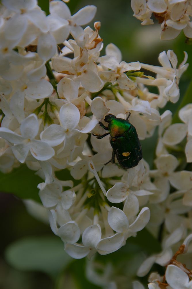 Photograph by Нина Малютина