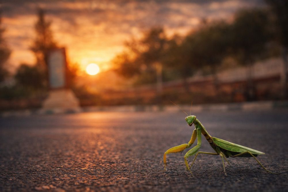 Photograph by Dariush larki