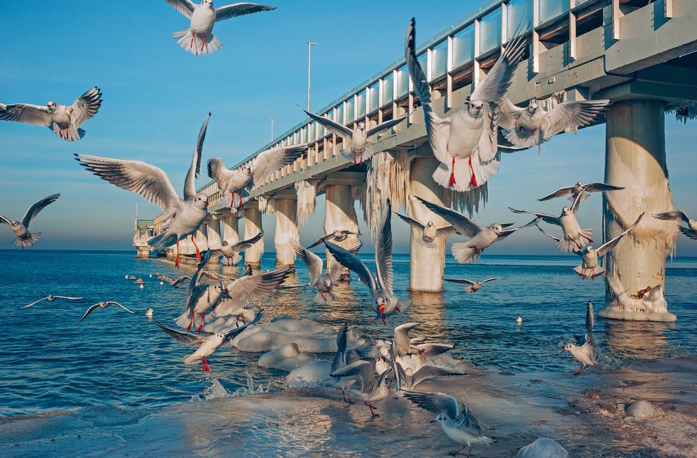 Photograph by Юлия Залалова