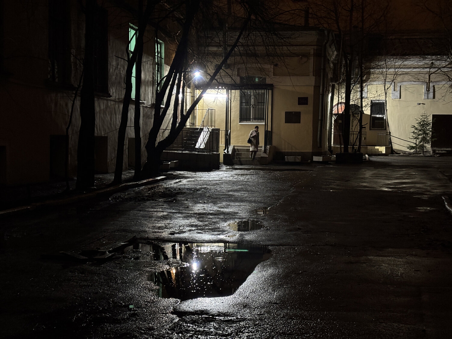 Photo #13265633