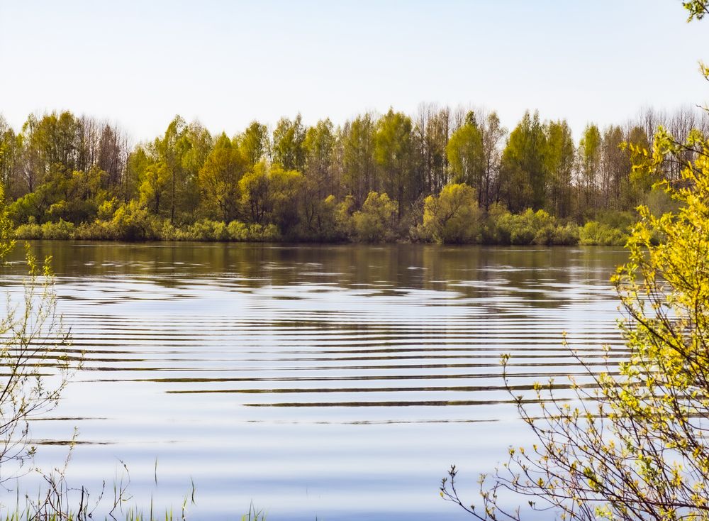 Photograph by Дмитрий Селицкий