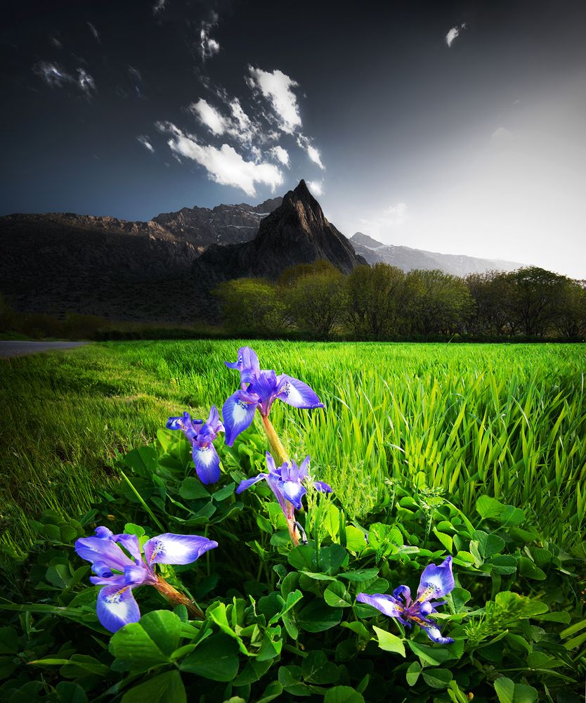 Photograph by amir ivani