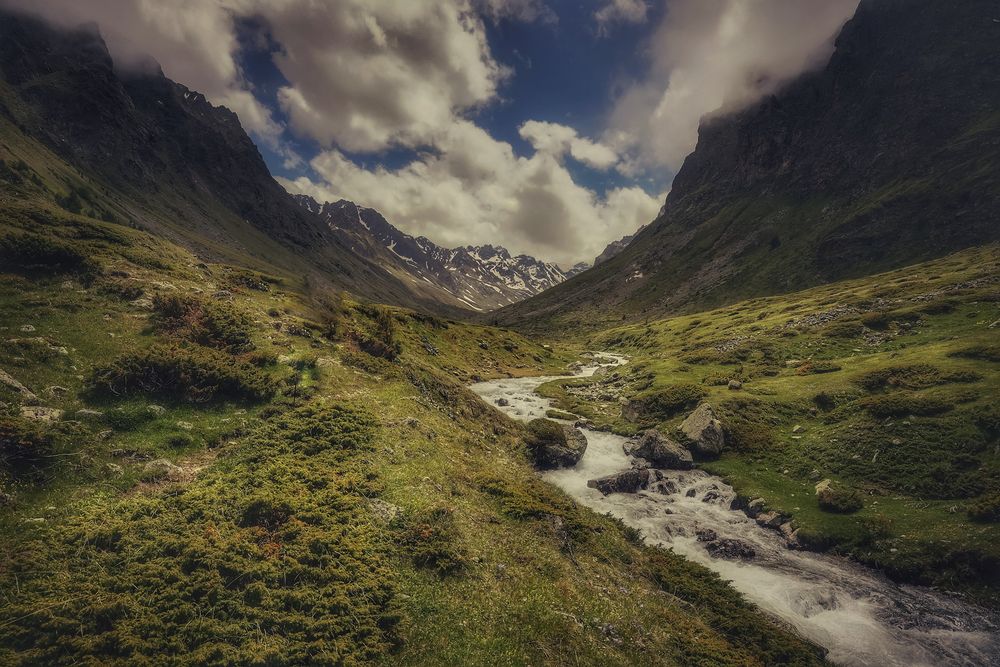 Photograph by Владимир Кульбит