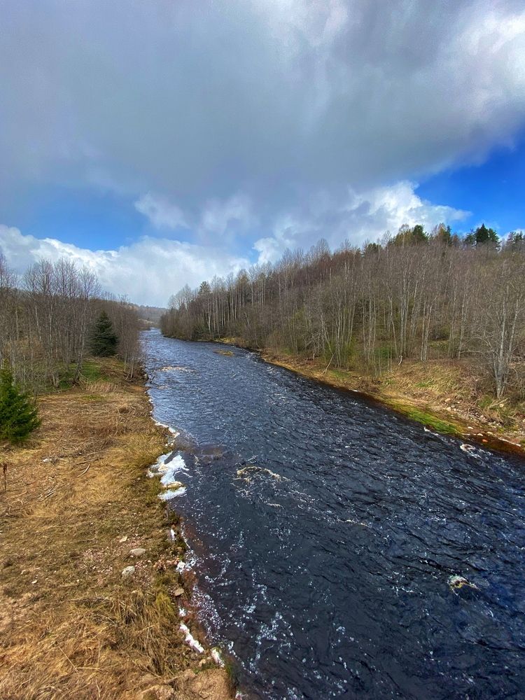 Photograph by Oksana Smorodina